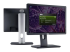 Dell Professional P1913 - Flera vinklar