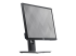 Dell P2217 - LED-skärm - Vänster vinkel